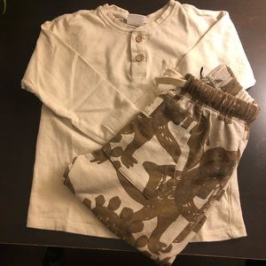 Zara fall casual outfit